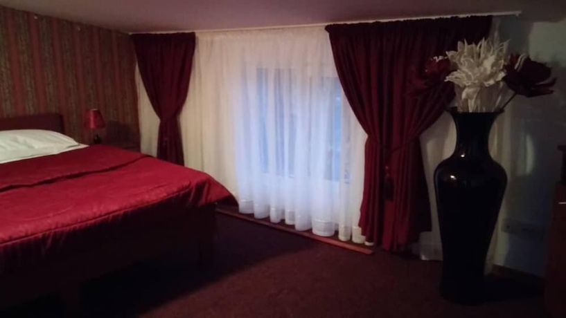 Imagen de la habitación del Hotel Casa De Vis Pucioasa. Foto 6