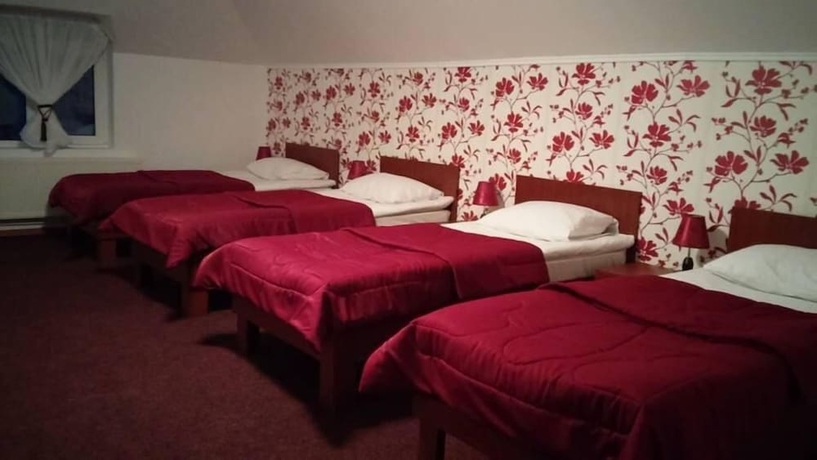 Imagen de la habitación del Hotel Casa De Vis Pucioasa. Foto 7