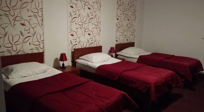 Imagen de la habitación del Hotel Casa De Vis Pucioasa. Foto 8