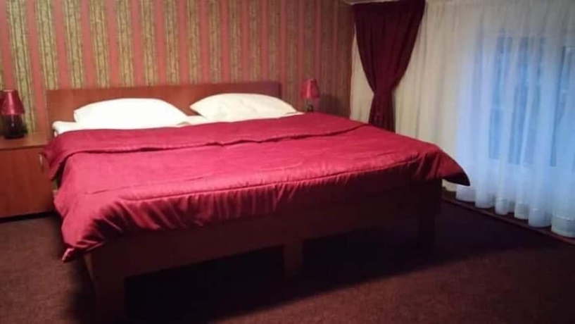 Imagen de la habitación del Hotel Casa De Vis Pucioasa. Foto 10