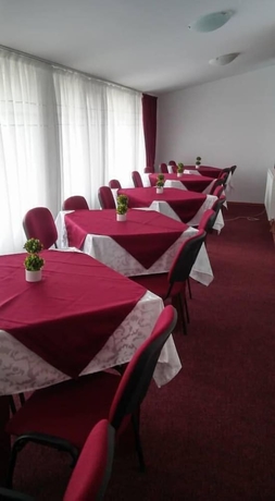 Imagen del bar/restaurante del Hotel Casa De Vis Pucioasa. Foto 3