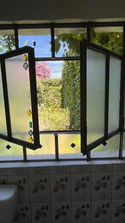 Imagen general del Hotel Casa Del &Aacute;rbol, Concepci&oacute;n del Uruguay. Foto 10