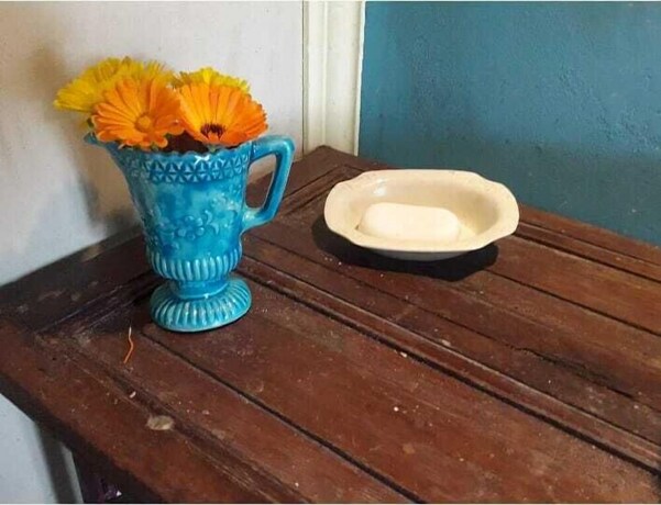 Imagen de la habitación del Hotel Casa Del &Aacute;rbol, Concepci&oacute;n del Uruguay. Foto 38