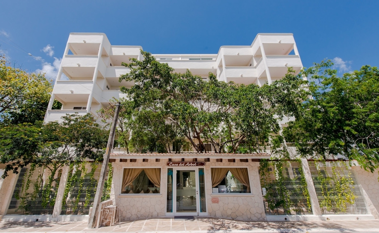 Imagen general del Hotel Casa Del &Aacute;rbol Condo. Foto 5