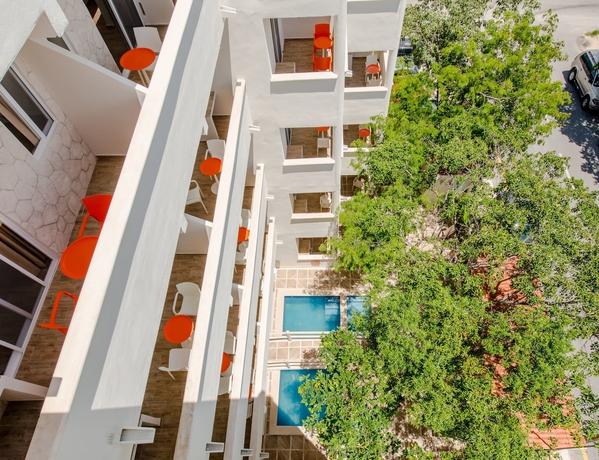 Imagen de los interiores del Hotel Casa Del &Aacute;rbol Condo. Foto 17