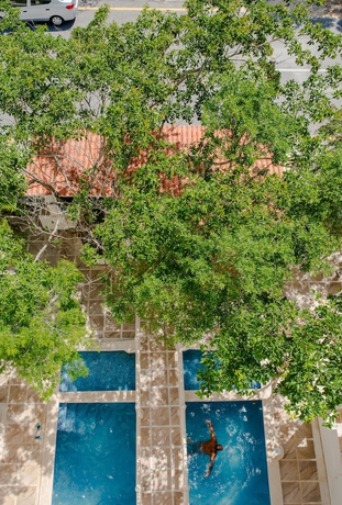 Imagen general del Hotel Casa Del &Aacute;rbol Condo. Foto 3