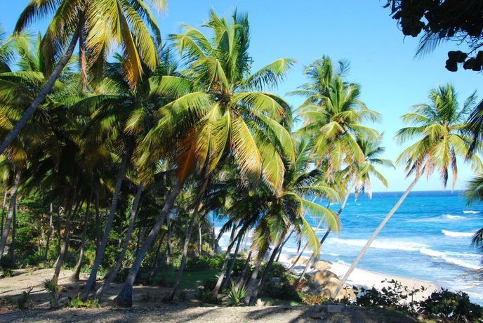 Imagen de la habitación del Hotel Casa Del Mar Lodge. Foto 4