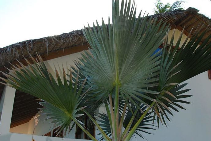 Imagen de los exteriores del Hotel Casa Del Mar Lodge. Foto 8