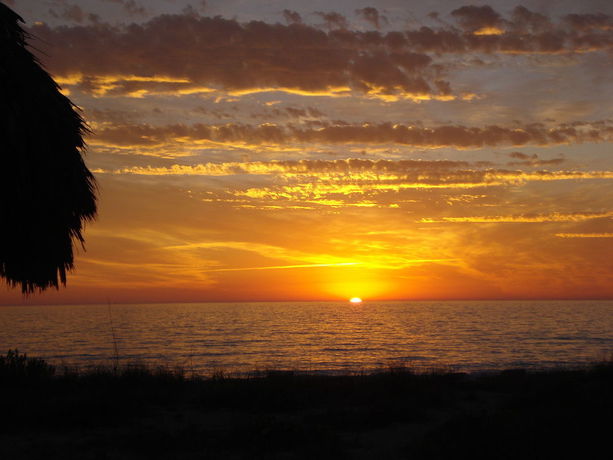 Imagen de los exteriores del Hotel Casa Del Mar Longboat Key. Foto 8