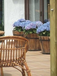 Imagen general del Hotel Casa Del Mar, Roses. Foto 15