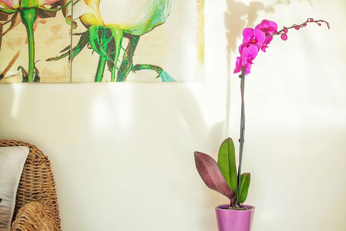 Imagen general del Hotel Casa Di Mare Poseidon. Foto 2