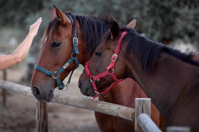 Imagen general del Hotel Casa Do Governador. Foto 13