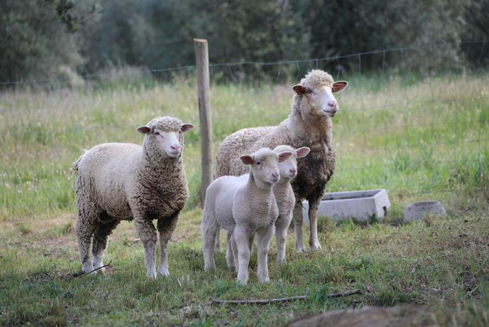 Imagen general del Hotel Casa Do Governador. Foto 15