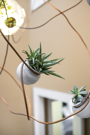 Imagen de los interiores del Hotel Casa Do Juncal. Foto 15