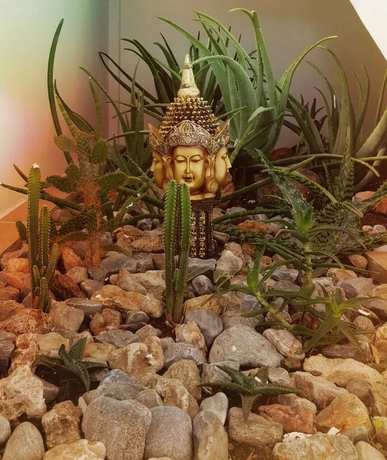 Imagen de los interiores del Hotel Casa Docia Samana. Foto 12