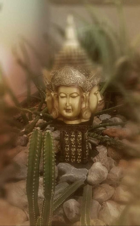 Imagen de los interiores del Hotel Casa Docia Samana. Foto 14