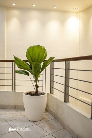 Imagen general del Hotel Casa Don Chepe Pinotepa. Foto 11