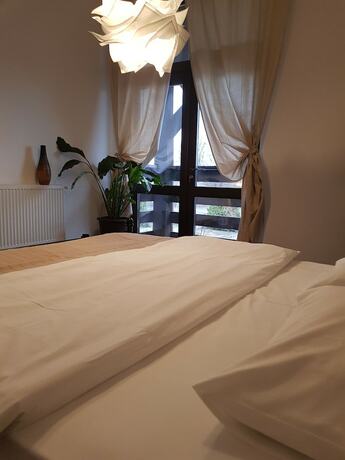 Imagen general del Hotel Casa Drumeţului. Foto 5