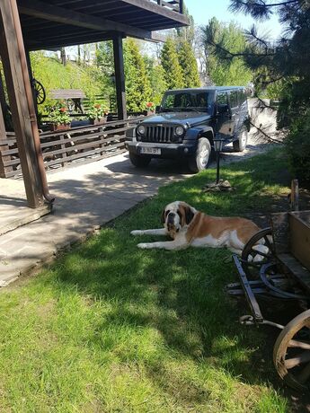 Imagen general del Hotel Casa Drumeţului. Foto 6