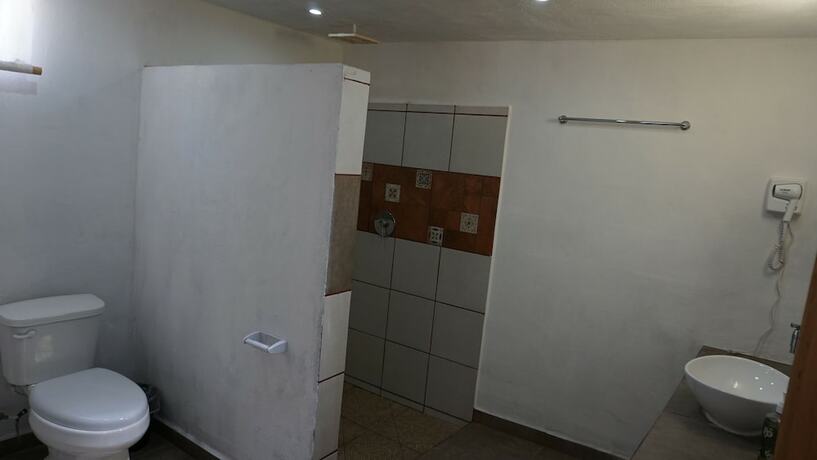 Imagen general del Hotel Casa Frida. Foto 6