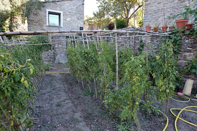 Imagen de los exteriores del Hotel Casa Fumanal. Foto 12