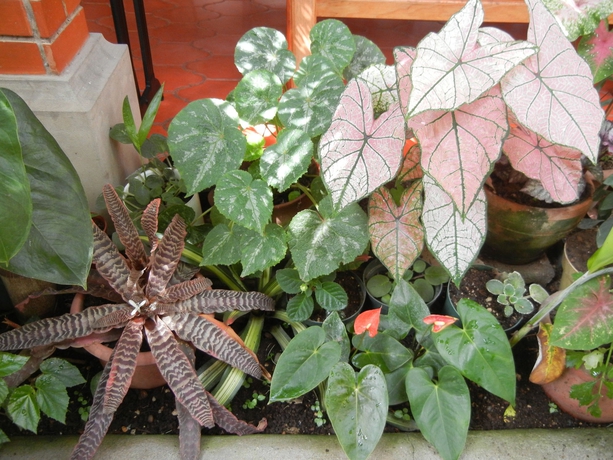 Imagen de los interiores del Hotel Casa Gabriela. Foto 15