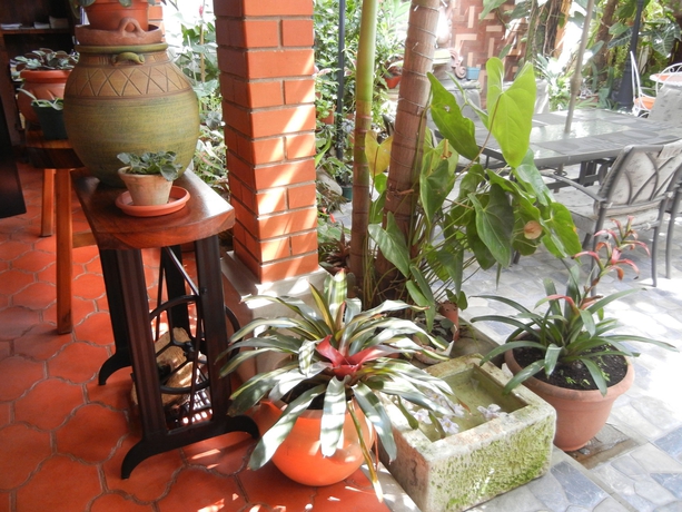 Imagen general del Hotel Casa Gabriela. Foto 3