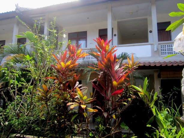 Imagen de los exteriores del Hotel Casa Ganesha. Foto 7