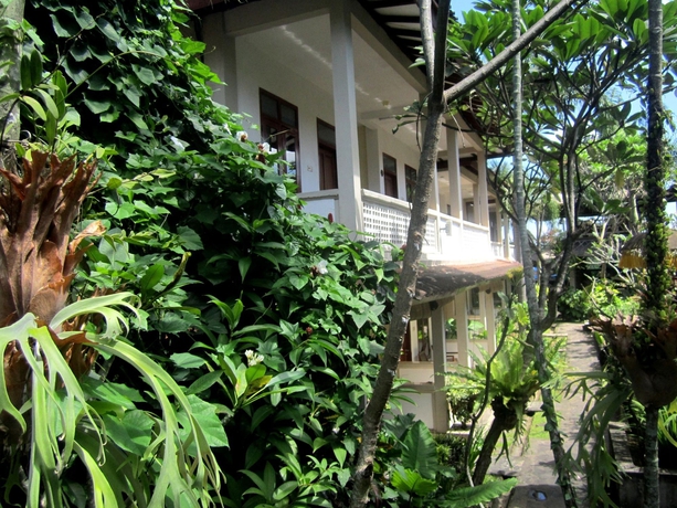 Imagen de los exteriores del Hotel Casa Ganesha. Foto 10