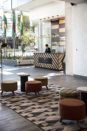 Imagen de los interiores del Hotel Casa Grande Express. Foto 15