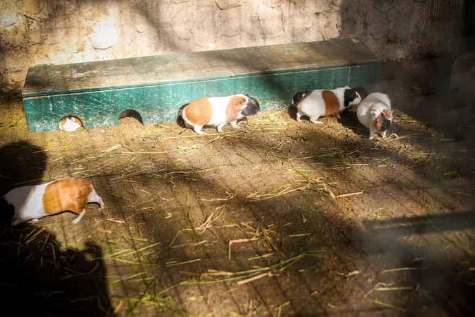 Imagen de la piscina del Hotel Casa Grande Gravat&aacute;. Foto 16