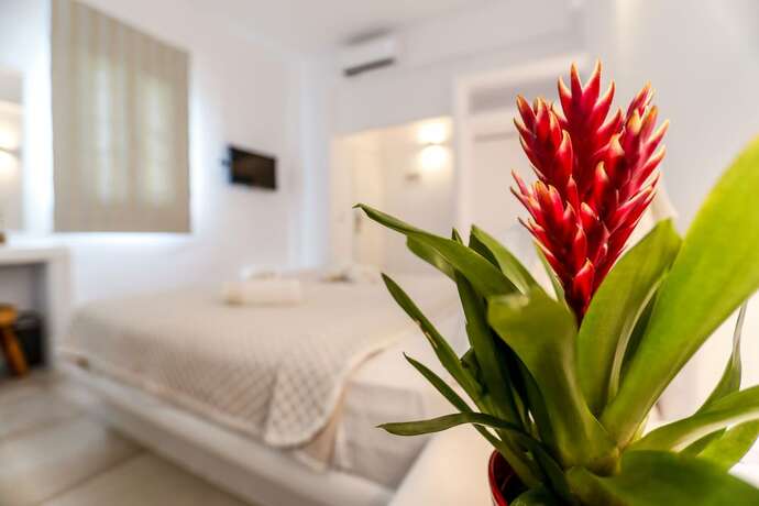 Imagen general del Hotel Casa Grande, Mikonos. Foto 6