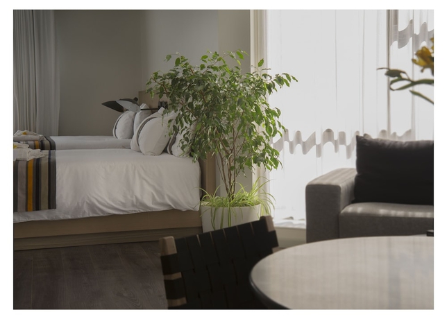 Imagen de la habitación del Hotel Casa Grande Suites. Foto 7