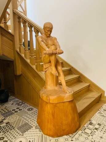 Imagen general del Hotel Casa Guardião. Foto 16