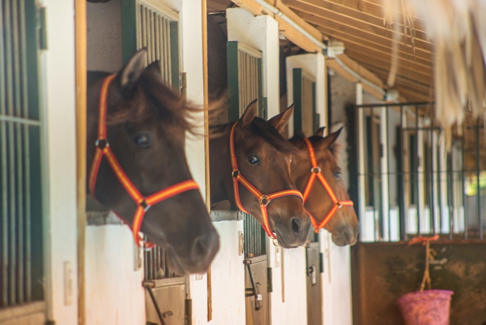 Imagen general del Hotel Casa Hemingway. Foto 3