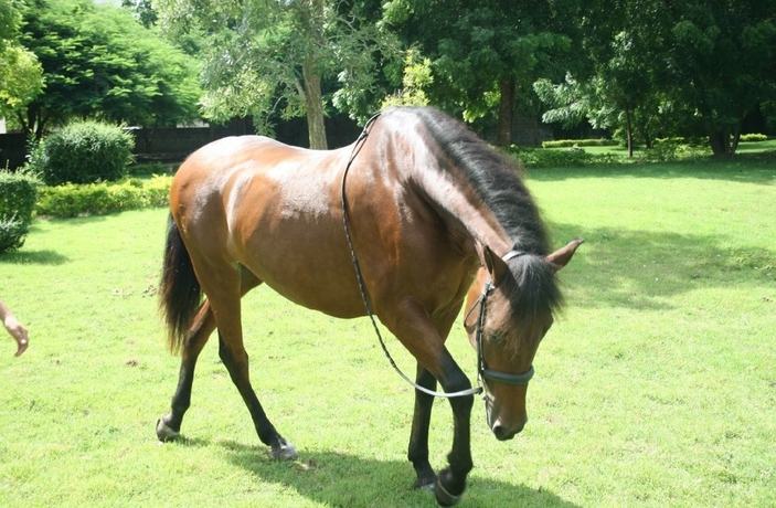 Imagen general del Hotel Casa Hemingway. Foto 4