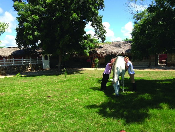 Imagen general del Hotel Casa Hemingway. Foto 5