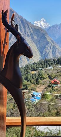 Imagen general del Hotel Casa Himalaya. Foto 5