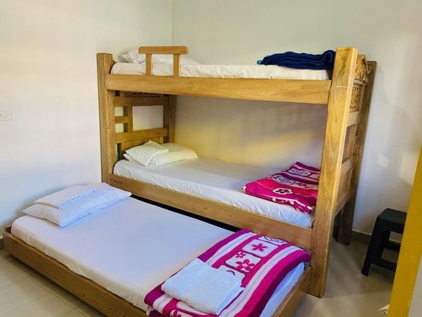 Imagen de la habitación del Hotel Casa Hostal las Palmeras. Foto 10