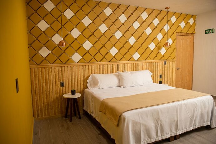 Imagen general del Hotel Casa Jima Agave. Foto 1