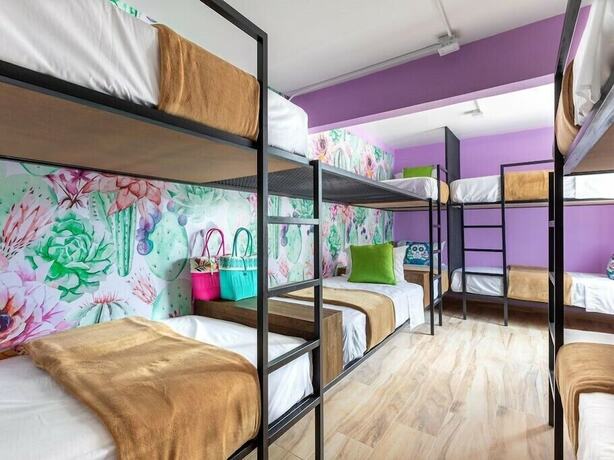 Imagen de la habitación del Hotel Casa Kanabri Hostal Boutique - Hostel. Foto 17