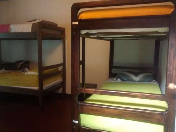 Imagen de la habitación del Hotel Casa Kiwi Hostel. Foto 5