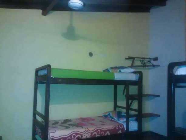 Imagen de la habitación del Hotel Casa Kiwi Hostel. Foto 11