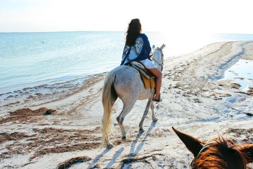 Imagen de la habitación del Hotel Casa Las Tortugas Petit Beach and Spa. Foto 7