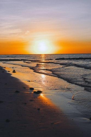 Imagen de la habitación del Hotel Casa Las Tortugas Petit Beach and Spa. Foto 9