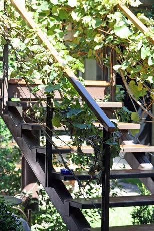 Imagen de los interiores del Hotel Casa Lila Bed and Breakfast. Foto 19