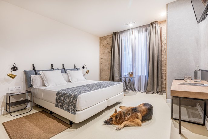 Imagen de la habitación del Hotel Casa Lirio by Blossom Hotels. Foto 16