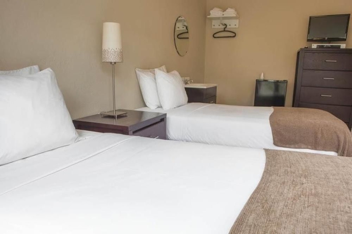 Imagen de la habitación del Hotel Casa Loma. Foto 6