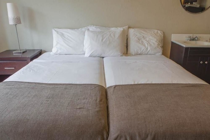 Imagen de la habitación del Hotel Casa Loma. Foto 9