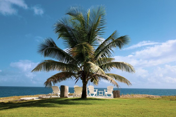Imagen de la habitación del Hotel Casa Los Sue os in Punta Cana. Foto 17